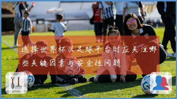 选择世界杯买足球平台时应关注哪些关键因素与安全性问题