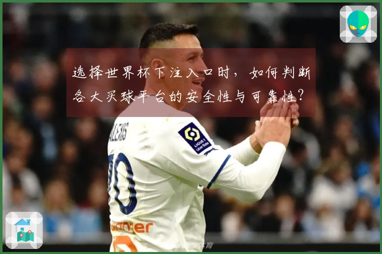 选择世界杯下注入口时，如何判断各大买球平台的安全性与可靠性？